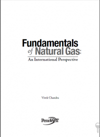 Fundamentals of Natural Gas:An International Perspective